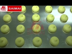 خط تولید نانوایی، نان همبرگر، توست، کیک جام، کیک ماه، نان دانمارکی